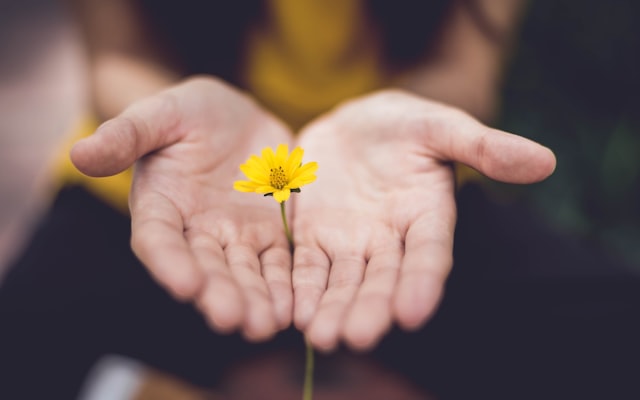 Photo by Getty Images on Unsplash — representative image for Tiny Tots