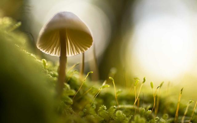 Photo by Declan Sun on Unsplash — representative image for Partial Closure: CENTRAL AVE: LYNNE AVE - HIDALGO AVE (Light Rail)