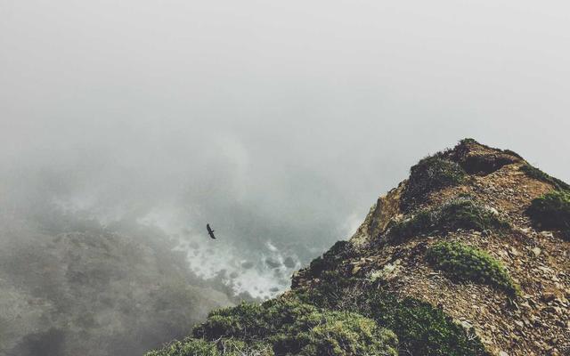 Photo by engin akyurt on Unsplash — representative image for Viện Việt Học - Institute of Vietnamese Studies