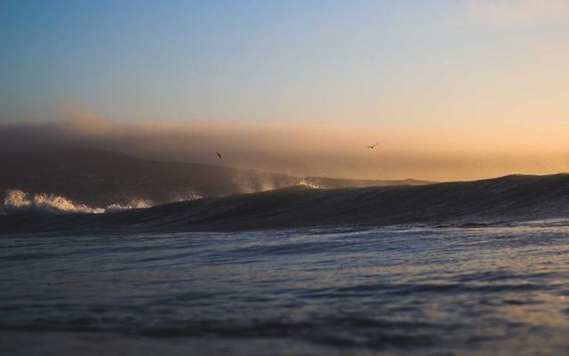 Photo by Brittani Carter on Unsplash — representative image for Banh Mi Oi