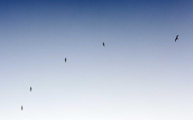 Photo by Dex Ezekiel on Unsplash — representative image for Vietnamese Cafe