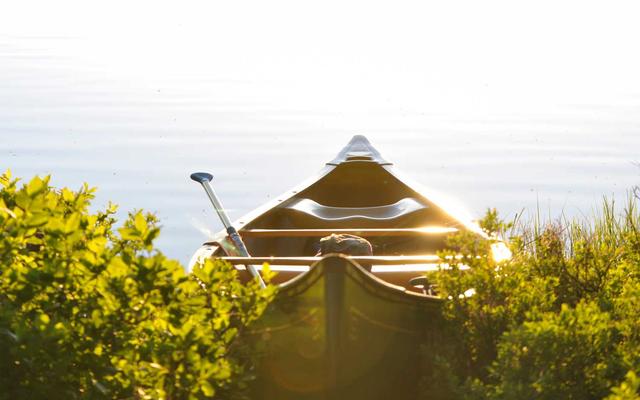 Photo by Budi Puspa Wijaya on Unsplash — representative image for The Banh Mi Shop