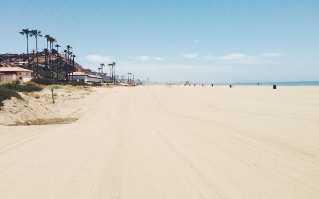 Photo by Le Tran Hoang Oanh on Unsplash — representative image for Pho 1 Grill