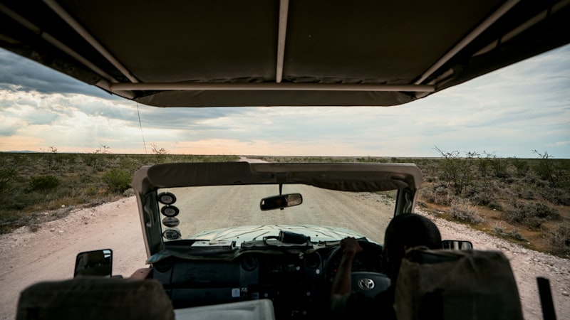 Photo by NIR HIMI on Unsplash — representative image for Wildlife Day