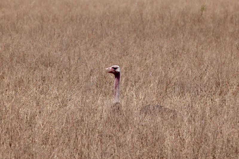 Photo by Haydn on Unsplash — representative image for SeaDoc Society & Orca Network
