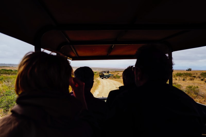 Photo by Adrien Olichon on Unsplash — representative image for Whale’s Tail Charters